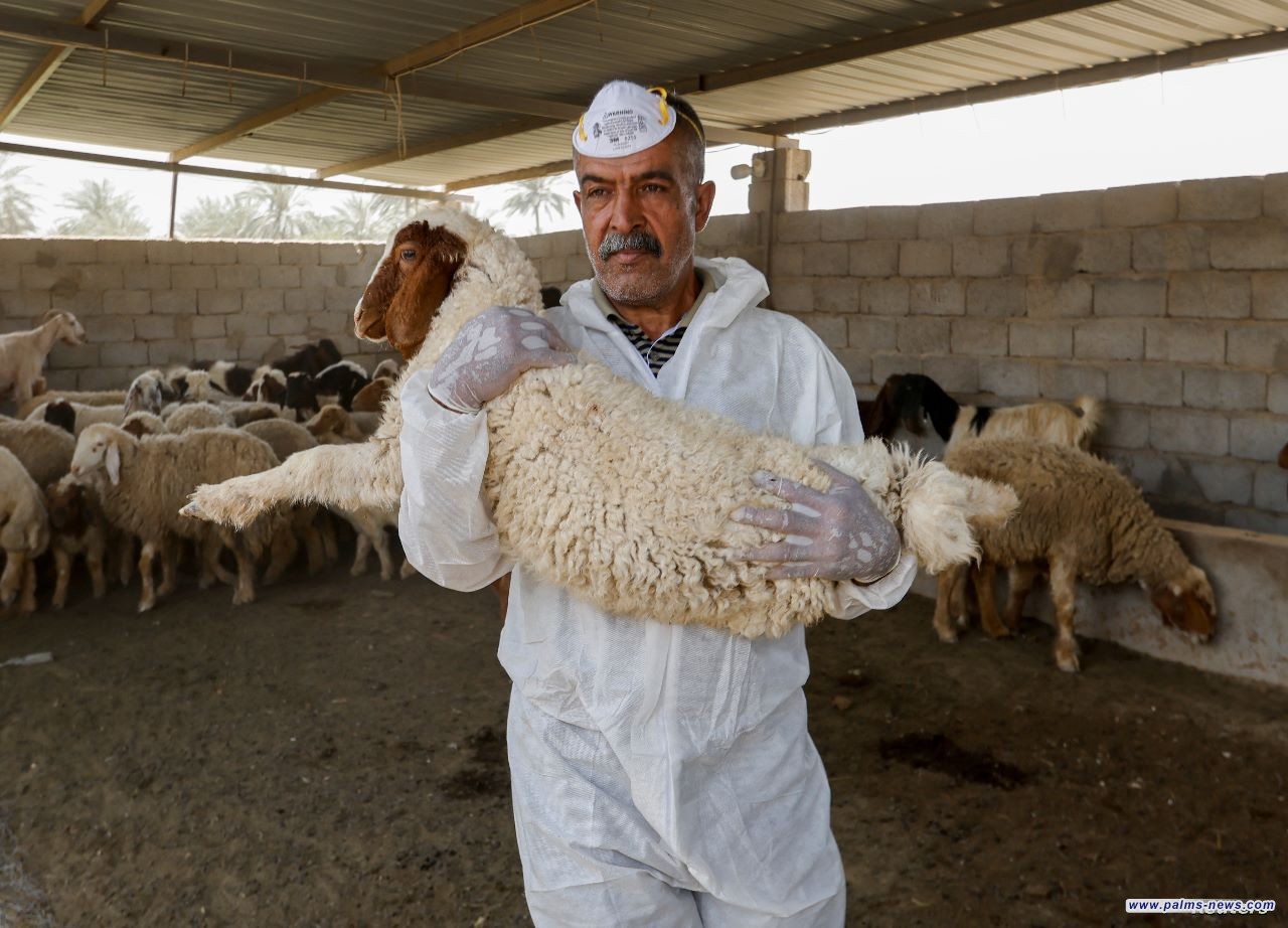 تسجيل اول حالة وفاة بالحمى النزفية في أربيل