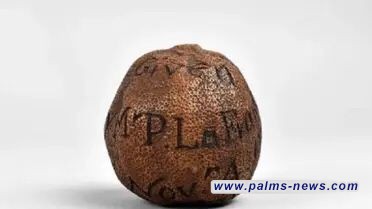 دعابة تتحول إلى كنز تراثي: ليمونة في مزاد بريطاني