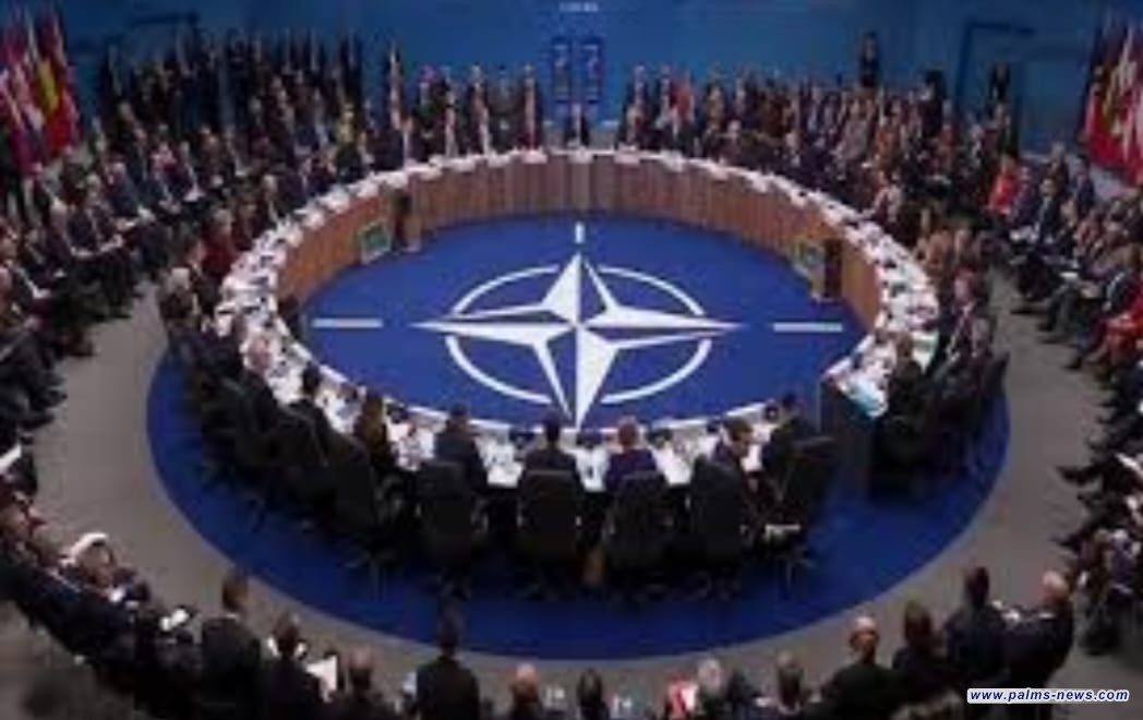 الناتو: أن الجيش العراقي من أقوى جيوش المنطقة