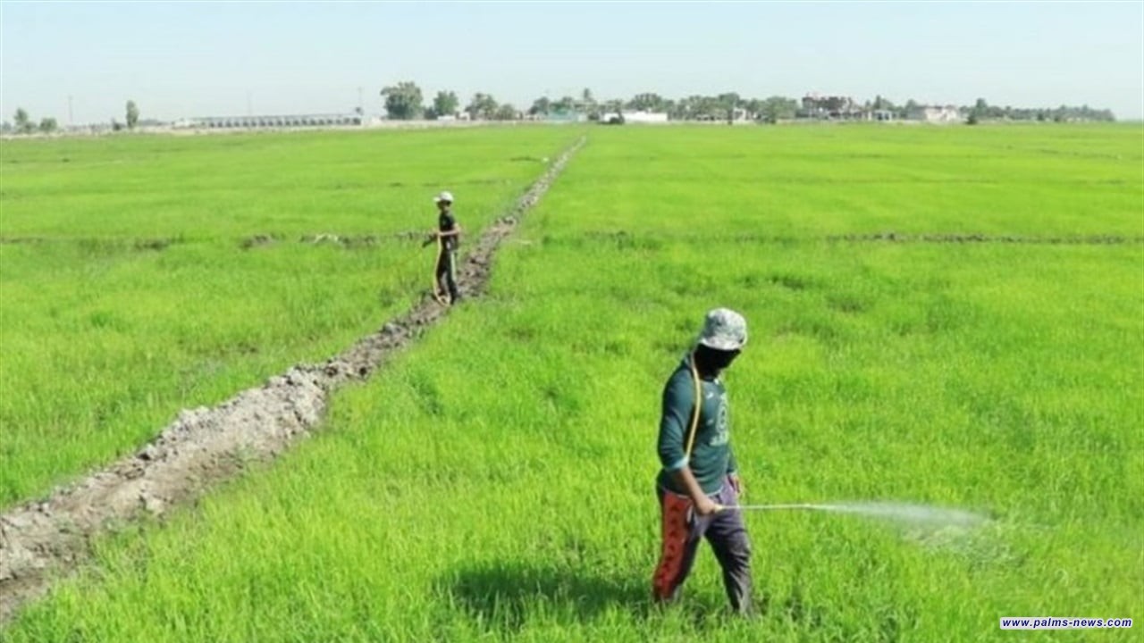 الزراعة تعلن توقف مشاريع مكافحة التصحر وتثبيت الكثبان الرملية