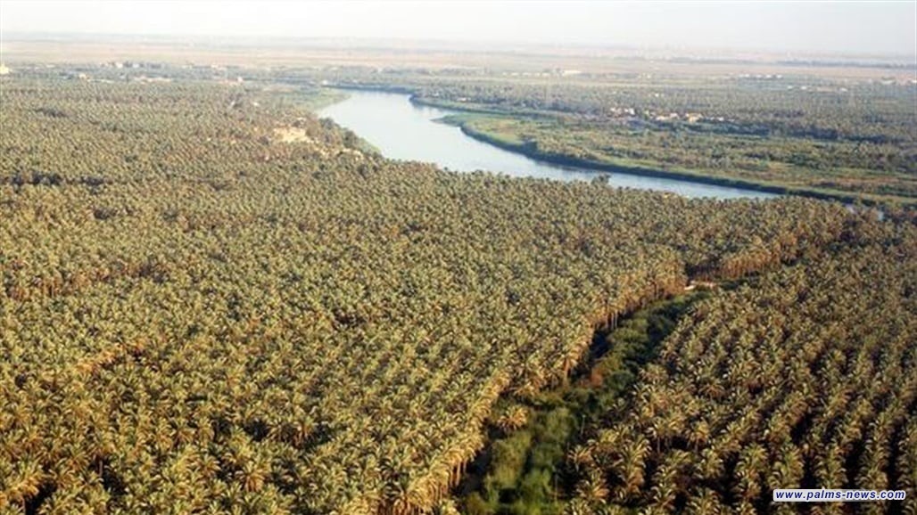 دعوات للمالية بمصادرة عقارات لعائلة صدام حسين..