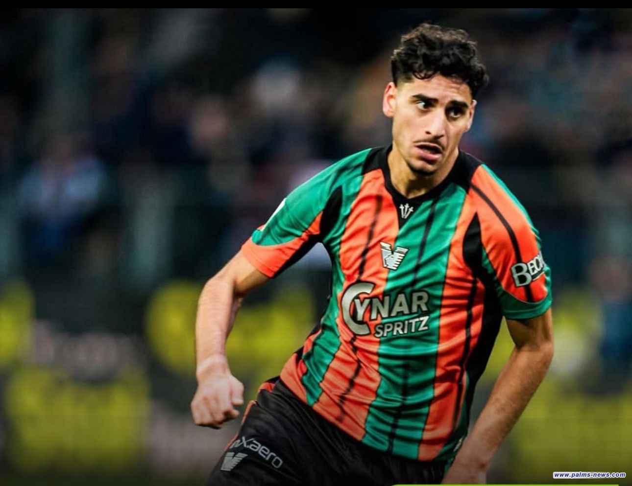 النجم العراقي ماركو فرج،يقود فريقه فينيزيا إلى العودة لدوري الدرجة الأولى الإيطالي.