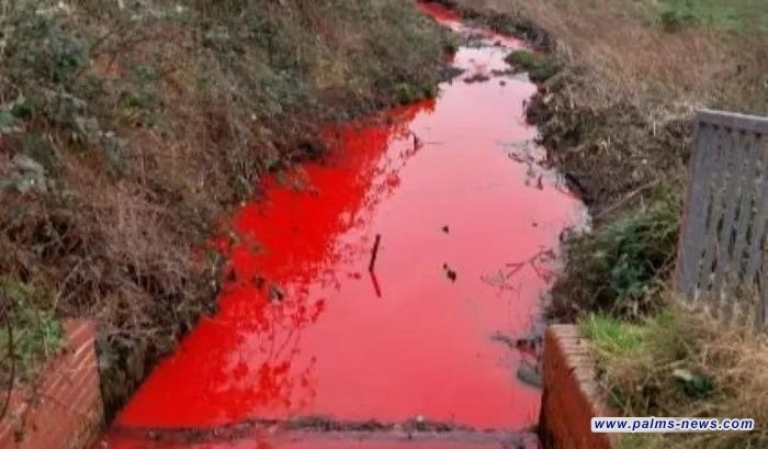 هل اقترب يوم القيامة؟ نهر دموي في بريطانيا