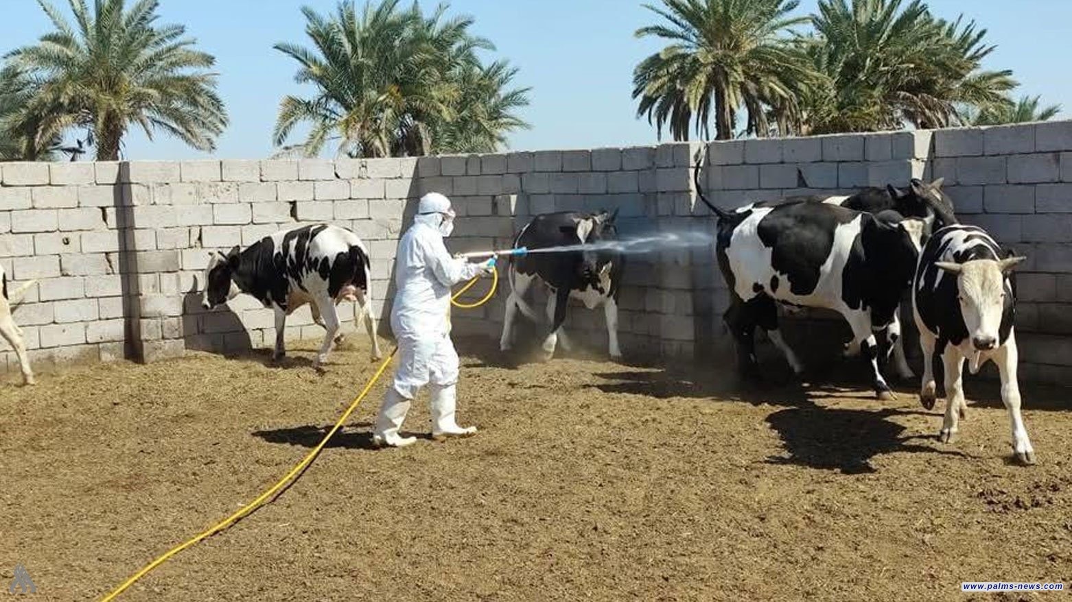 الزراعة تعلن تقنية حديثة تستهدف الناقل الرئيس لمرض الحمى النزفية