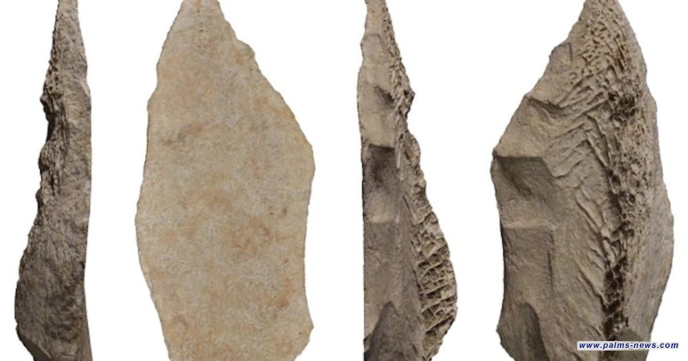 اكتشاف أول رأس حربة عظمية لإنسان نياندرتال