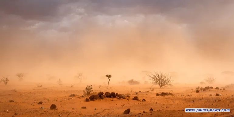 تحذير أممي: العواصف الرملية تؤثر على حياتنا لأسباب بشرية