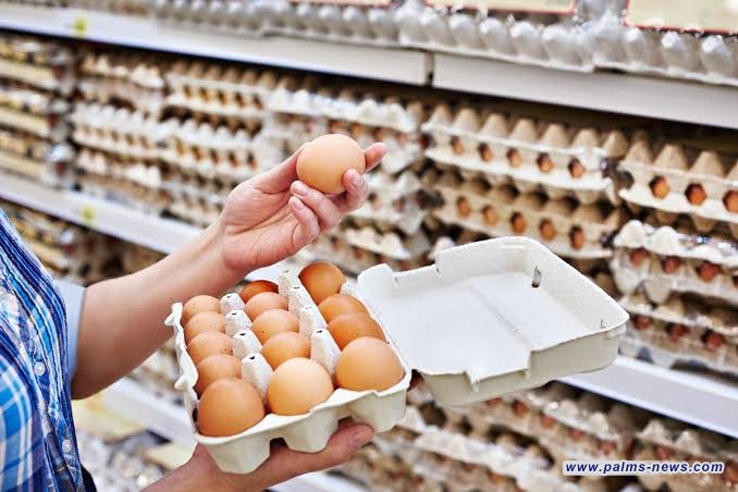 التجارة: أسعار اللحوم والدواجن والبيض ستنخفض خلال الأسبوع المقبل