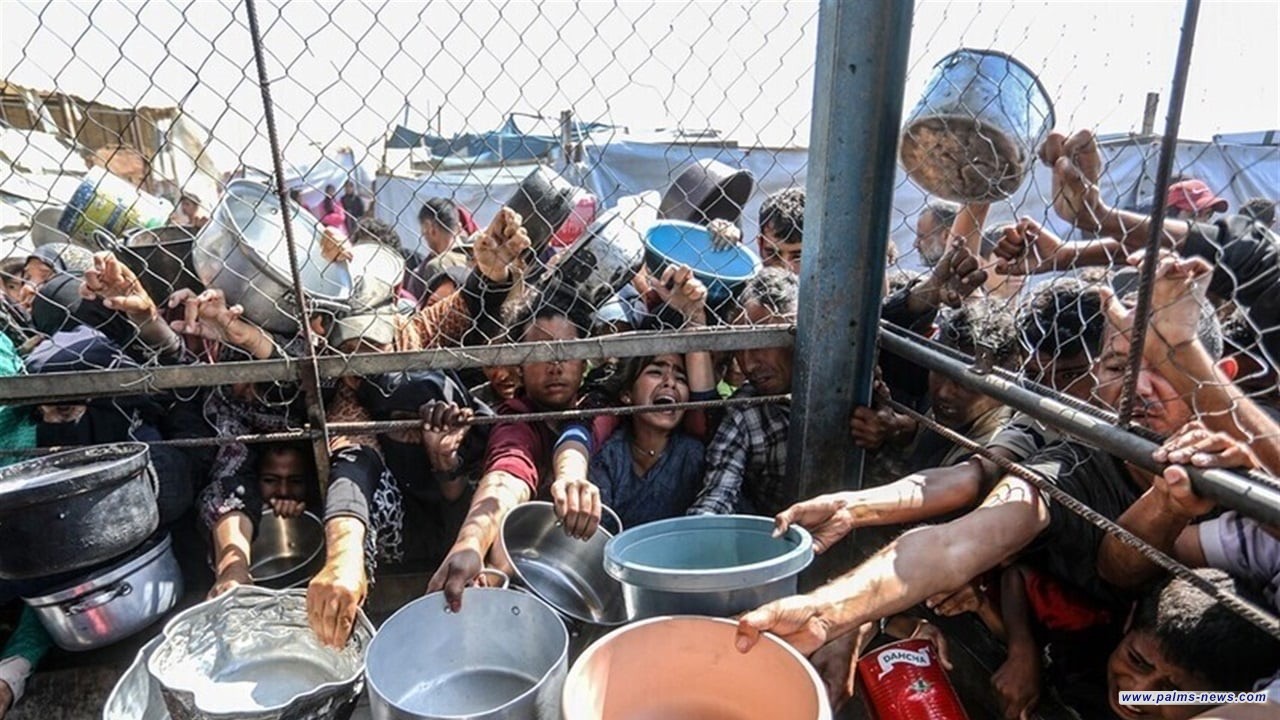 في غزة.. انتشار للفيروسات بسبب التجويع