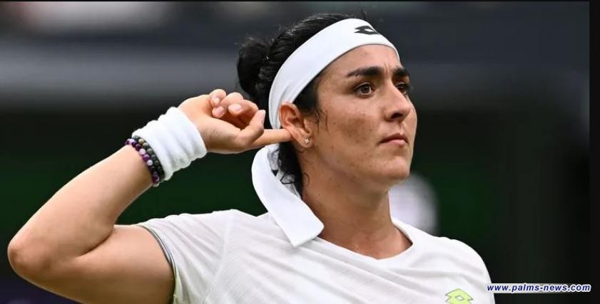 بسبب دعمها لفلسطين.. أنس جابر تتعرض للهجوم