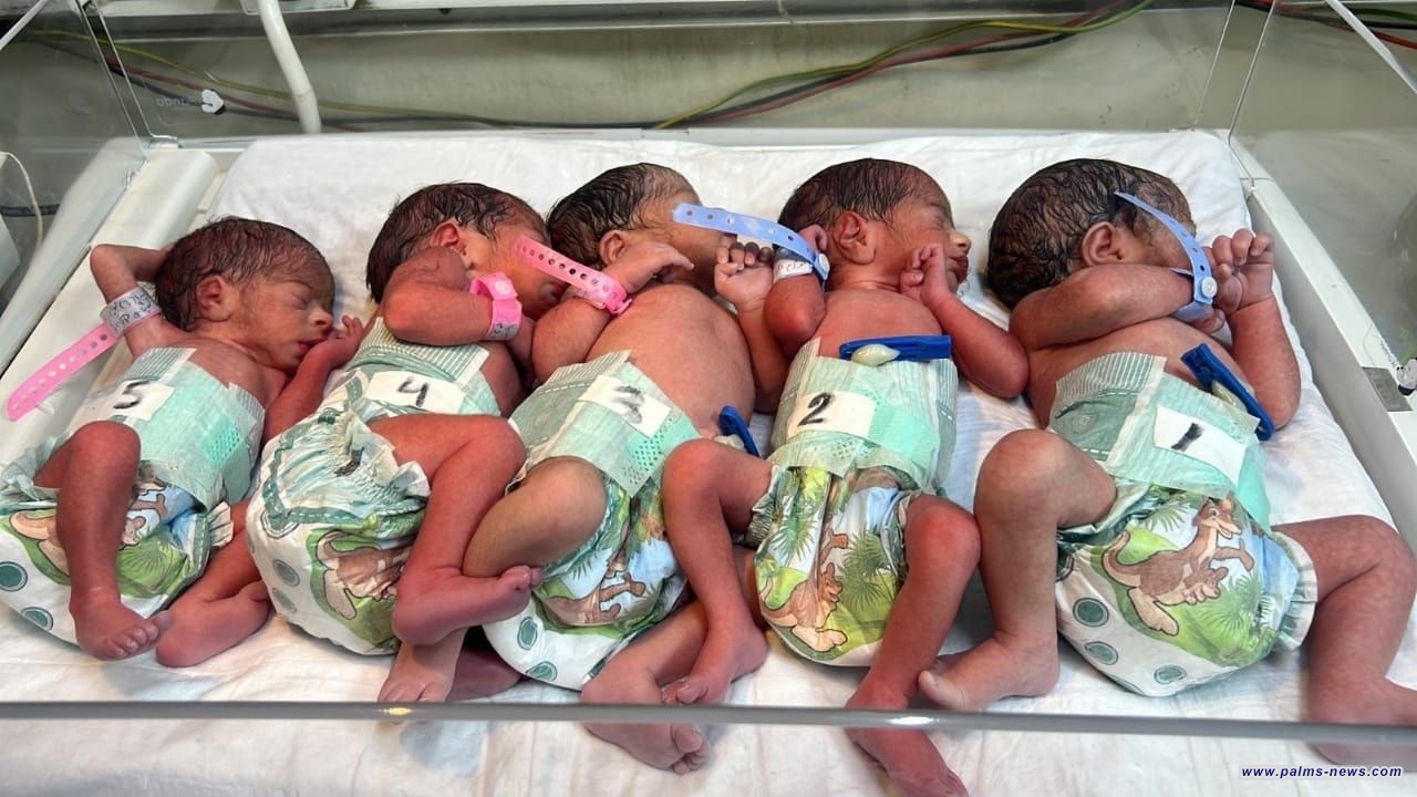 صحة الرصافة: ولادة خمسة توائم في أحد مستشفيات العاصمة بغداد