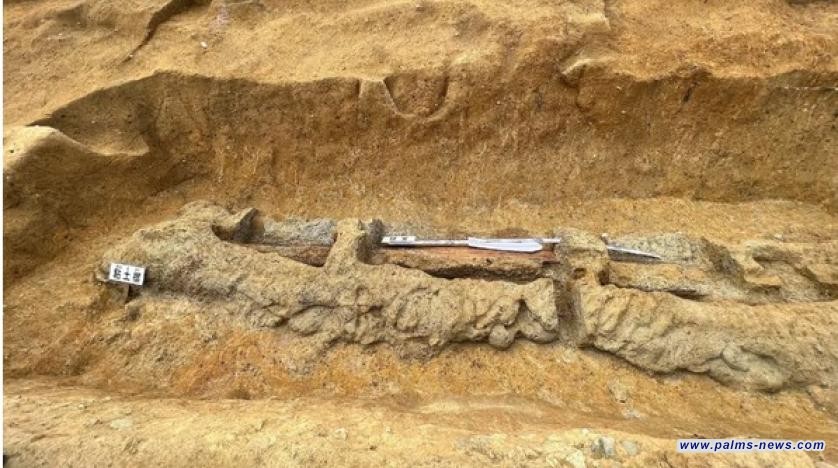 العثور على سيف أثري ضخم طوله 2.3 متر في اليابان