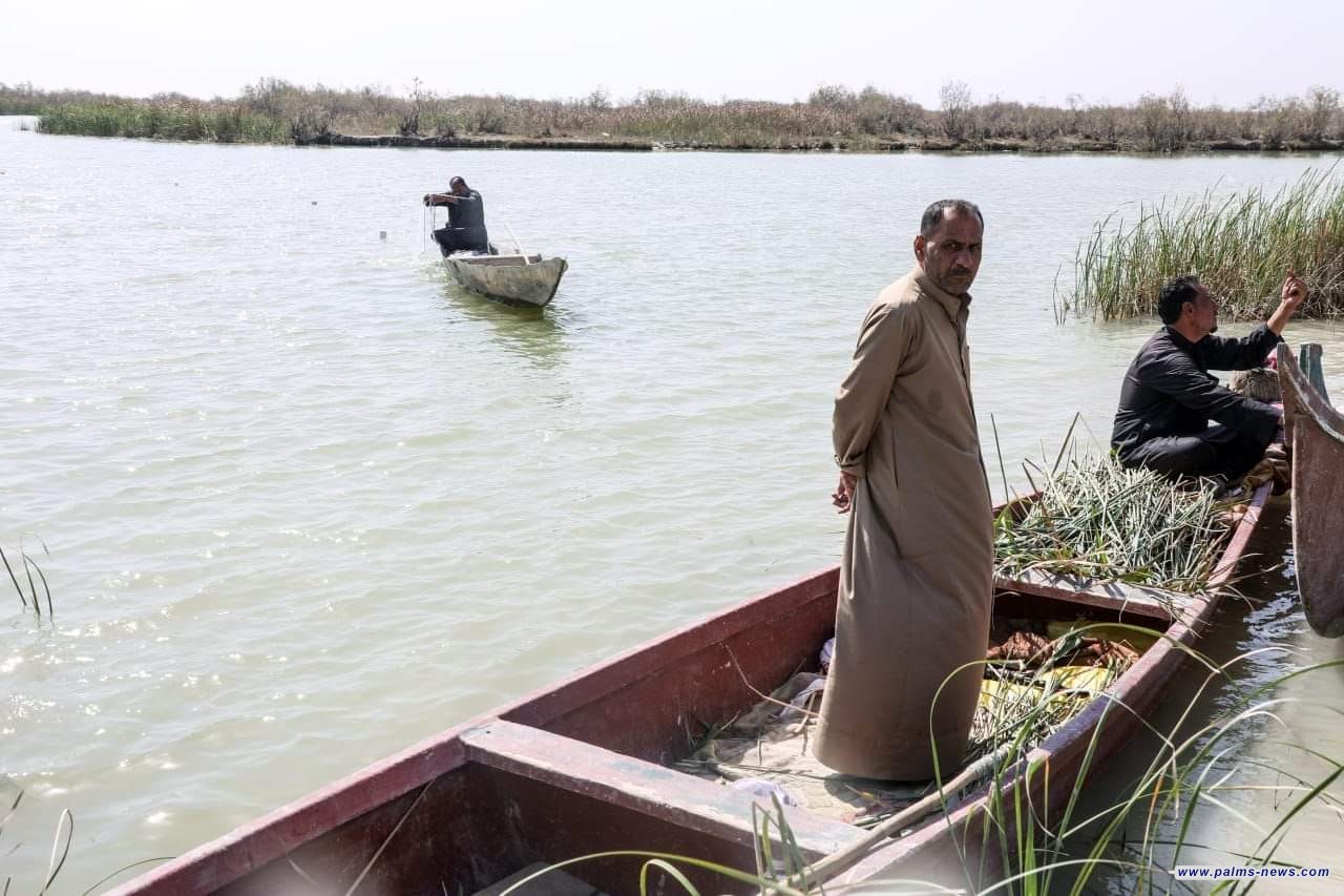 وزارة الموارد المائية : سنقوم بإنشاء  منفذ على نهر الشافي لإيصال المياه من شط العرب للأهوار