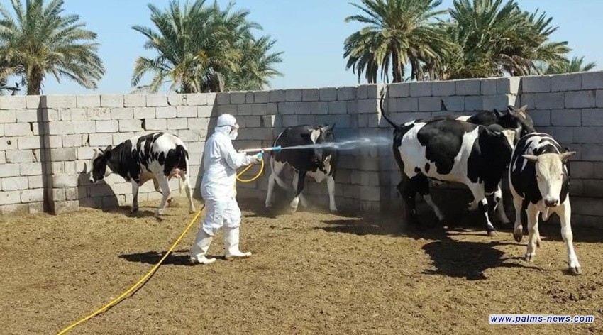 الصحة تعلن تهيئة المراكز الصحية المنتشرة على طريق الحج البري وتجهيزها بالأدوية