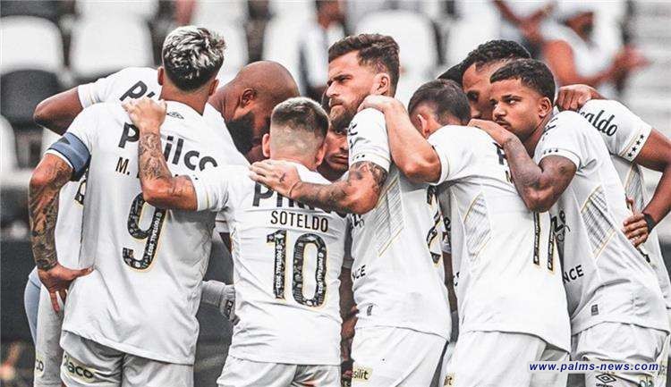 فريق سانتوس يهبط لدوري الدرجة الثانية البرازيلي لأول مرة منذ 111 عاماً