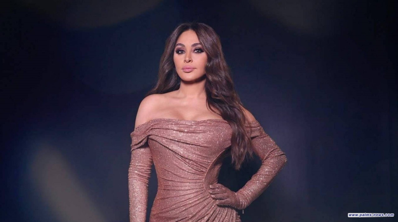 إليسا تناشد القضاء اللبناني: "بأي بلد بتصير!"