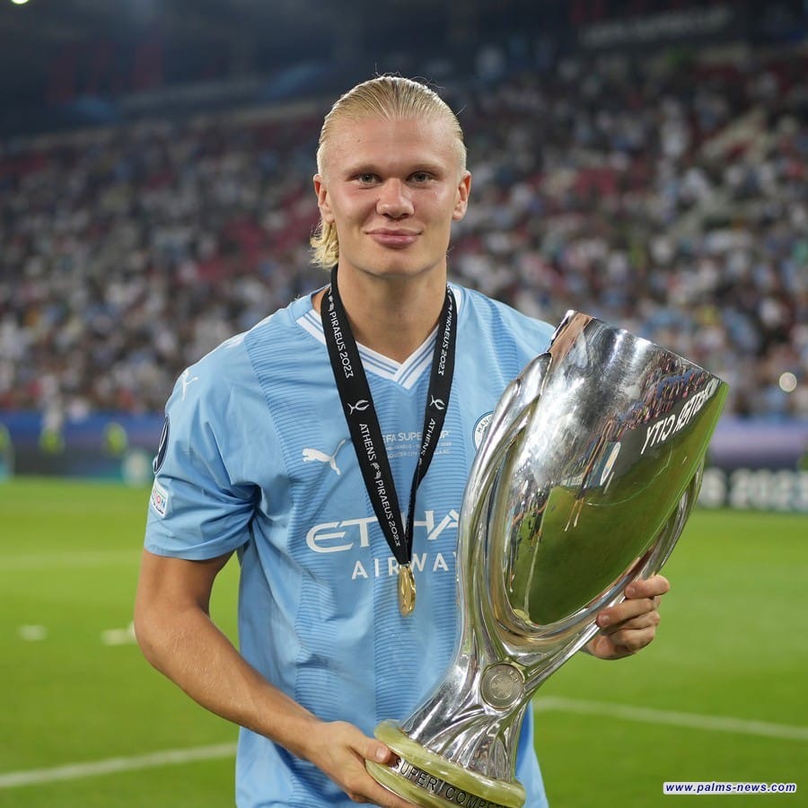 هالاند يفوز بجائزة الاتحاد الدولي للتأريخ والإحصاء