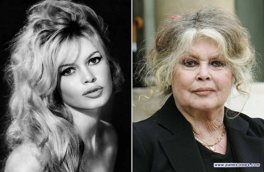 وفاة الممثلة الفرنسية بريجيت باردو عن عمر يناهز 91 عاما