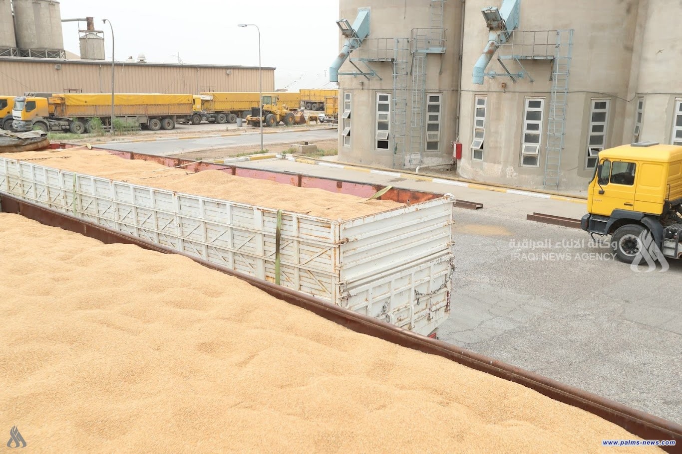 التجارة تعلن تأمين خزين الحنطة لعام كامل وتفعيل خطة الطوارئ للأمن الغذائي