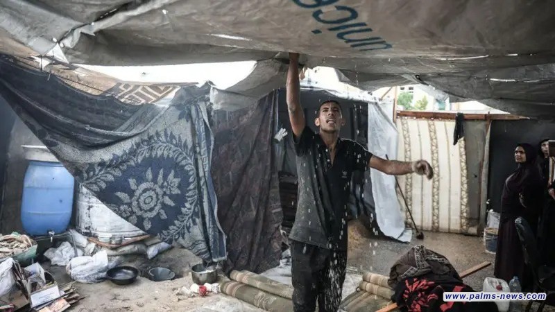 ما بين سقوط القنابل وهطول الأمطار، النساء والأطفال "الأكثر تعرضا للقتل" في غزة