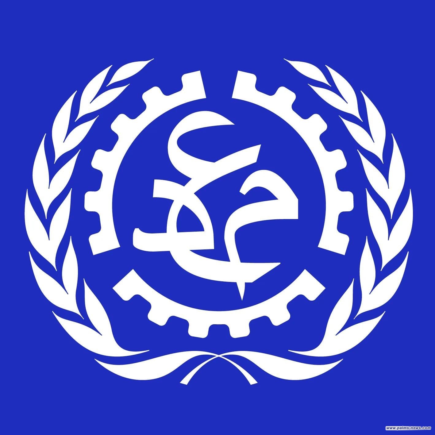 منظمة العمل الدولية : عدد النساء العاملات في العراق أقل من مليون وهي الأدنى على مستوى العالم