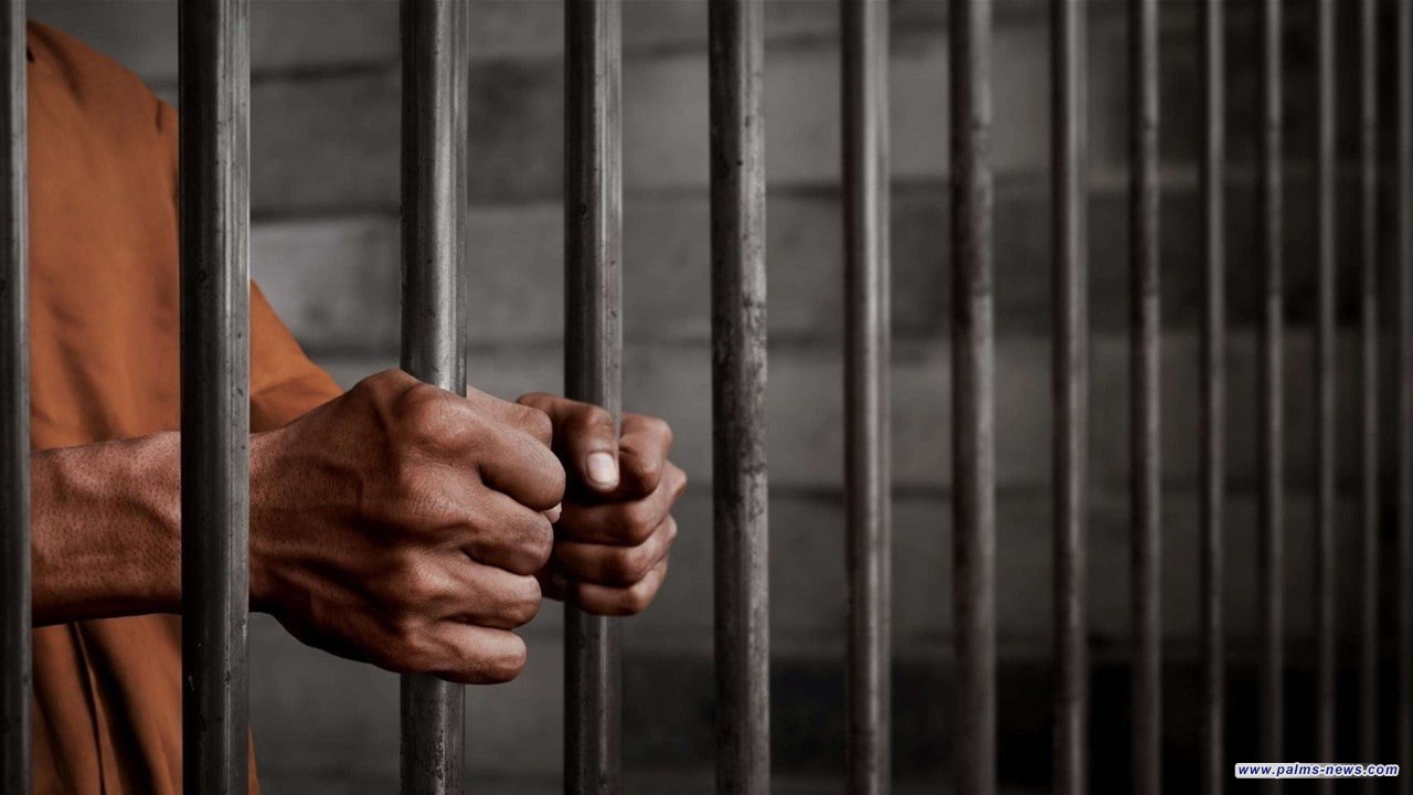 بالأرقام والدول.. العدل تكشف جنسيات الإرهابيين المنقولين من سوريا إلى العراق