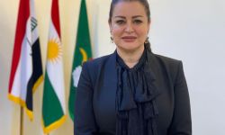 سوزان منصور : قانون العفو العام يجب أن يمرر بشكله الصحيح