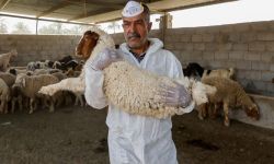 تسجيل اول حالة وفاة بالحمى النزفية في أربيل