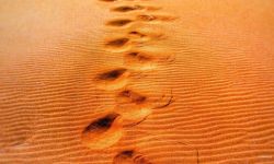 العثور على جثة امرأة "خليجية" في صحراء سعودية