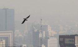 التلوث يلزم سكان طهران منازلهم