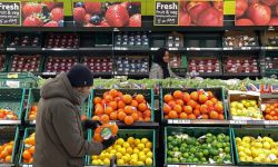 تراجع في الأسعار العالمية للأغذية