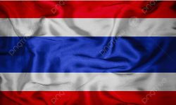 البرلمان التايلاندي يعلن  عن اختيار رئيس وزراء   في 13 من  يوليو الجاري