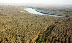 دعوات للمالية بمصادرة عقارات لعائلة صدام حسين..