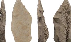 اكتشاف أول رأس حربة عظمية لإنسان نياندرتال