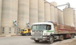 التجارة: خزين الحنطة يكفي لنهاية العام ويغطي الحاجة الفعلية