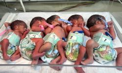 صحة الرصافة: ولادة خمسة توائم في أحد مستشفيات العاصمة بغداد