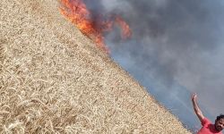 فرق الدفاع المدني تخمد حريقاً لحقول الحنطة بالنجف