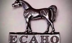 العراق ينضم عضوا بارزا إلى منظمة الايكاهو العالمية