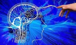 غرس شريحة في الدماغ تتصفح مواقع التواصل الاجتماعي