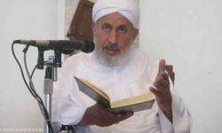 هل يحرمُ تناول السمك بسبب أكلها الجثث؟ مرجع ديني يجيب