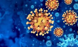 الصحة العالمية تسجل 10 آلاف وفاة بكورونا بكانون الأول