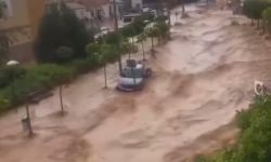 الأعنف في 30 عاما.. فيضانات عارمة تجتاح عدة دول أوروبية