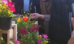 الصدر يتجوّلُ في أحد المشاتل الزراعية بالنجف لدعم التشجير