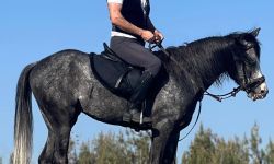 " يسعد صباحك"  نقولا نخلة يُطلق أغنية جديدة