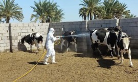الصحة تعلن تهيئة المراكز الصحية المنتشرة على طريق الحج البري وتجهيزها بالأدوية