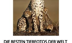 مصور عراقيّ يلتقطُ أجمل صور للحيوانات على مدى  ٣٠ عاماً