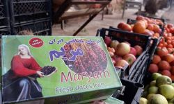 إيران تُصدِّر 250 ألف طن من المحاصيل الزراعية إلى العراق عبر منفذ مهران