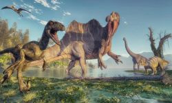 قصة الديناصورات.. من زاوية مختلفة
